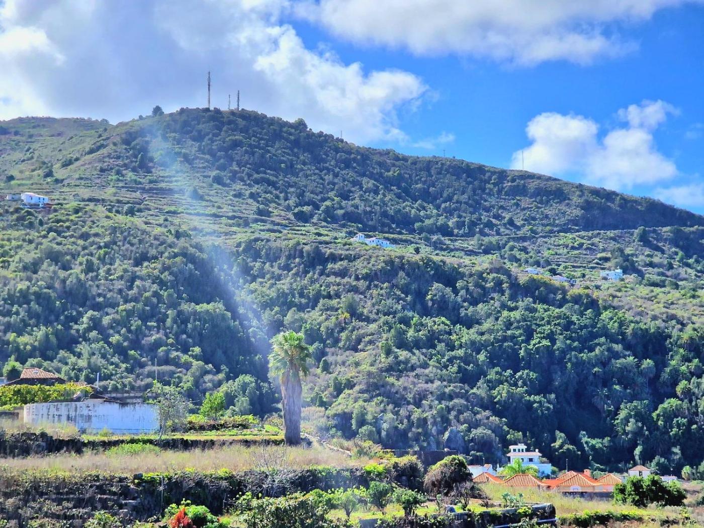 Cozy House Casa De Los Abuelos In Icod De Los Vinos By Hrtenerife Net Eksteriør billede