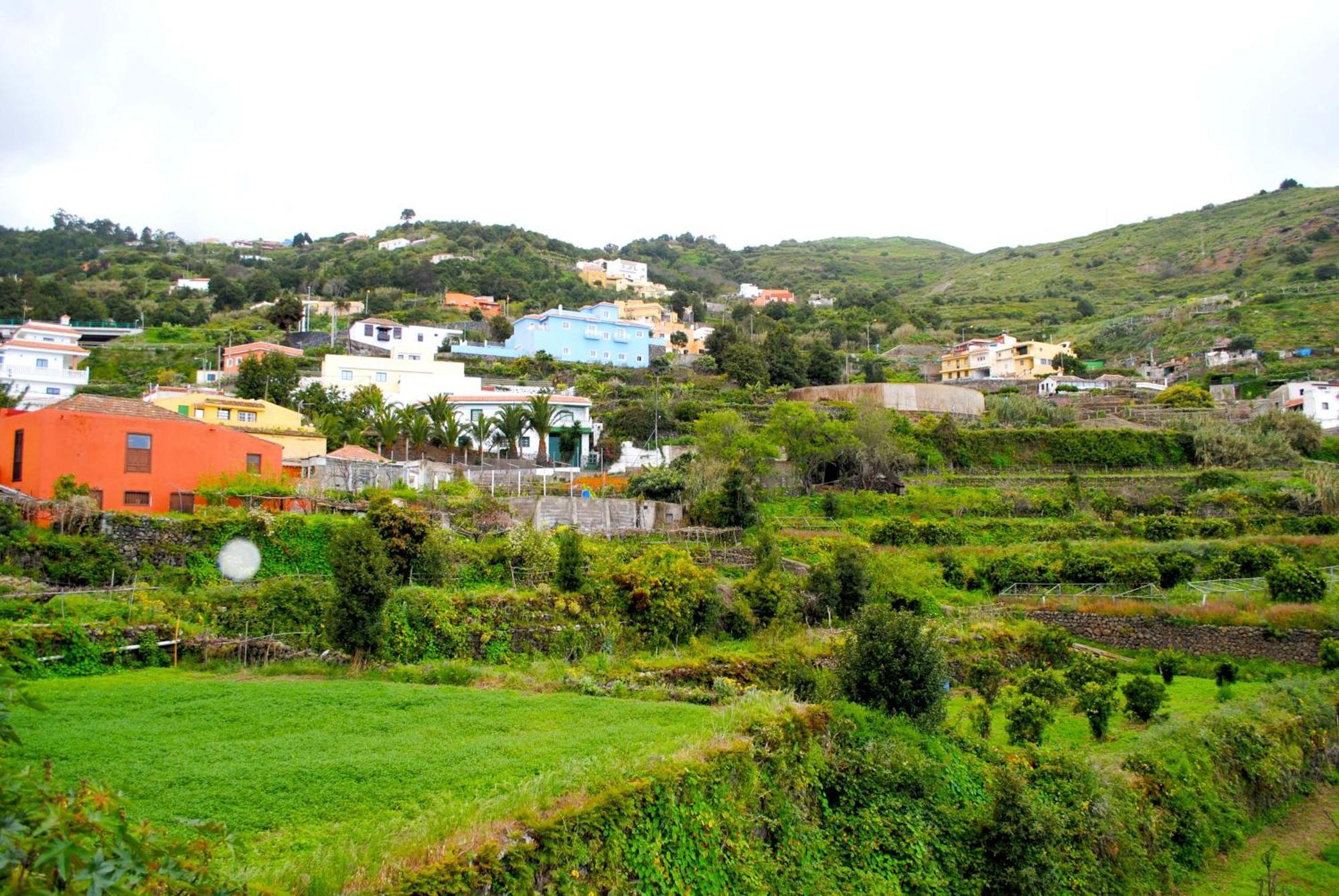 Cozy House Casa De Los Abuelos In Icod De Los Vinos By Hrtenerife Net Eksteriør billede